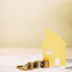 About Bhanusai Properties 3